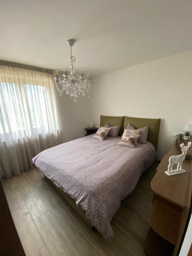 Mountain House The Deer Apartman Tesero Kültér fotó